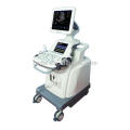 DW-C80 3d Trolly Farb-Doppler Veterinär-Ultraschall-Maschine